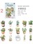 E3-30 Adet Bitki Pet Sticker - Numara : 3 3