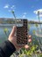 iPhone 11 Pro Uyumlu Leopar Baskılı Deri Kenarları Taşlı Kılıf 1