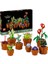 Icons Minik Bitkiler 10329 - Yetişkinler Için Dekoratif, Koleksiyonluk ve Sergilenebilir Yaratıcı Çiçe... + 1 LEGO Set 1