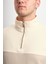 Regular Fit Yarım Fermuarlı Dik Yaka Renk Bloklu Sweatshirt 4