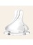 Biberon 2li Natural Wawa Biberon Emziği 240ML 4
