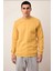Erkek Bisiklet Yaka Standart Kol Regular Kalıp Polar Sweatshirt Fonksiyonel Dayanıklı Spor 3