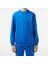 Bisiklet Yaka Regular Fit Sweatshirt 2