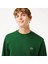 Bisiklet Yaka Regular Fit Sweatshirt 2