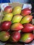 Mango 1 Adet 1