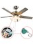 3 Paket Tavan Fan Anahtarı Değiştirme Tavan Fanı Işığı Duvar Lambaları Dolap Işığı C ZE-268S6 (Yurt Dışından) 5