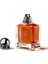 Stronger With You Intensely 100 ml Erkek Parfüm Emporio Armani Oryantal ve Odunsu Koku 5