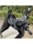 Yamaha Nmax 155 NMAX155 V3 NMAX155 2025 Için Motosiklet Navigasyon Braketi Telefon Sahibi (Yurt Dışından) 2