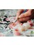 Hobi Sanat Sayılarla Boyama Tuval Seti Kedi ve Sonbahar 40X50 cm Çıtalı Fırça ve Boya Dahil 8