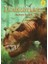Ilk Okuma - Dinozorlar + Patlamış Mısır Korsanları: Abur Cubur Peşinde + The Jungle Book - Orman Kitabı + 5 Kitap Set 1