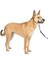 Petsafe Nazik Lider Çekmesiz Köpek Başlığı - Çekmenin En Iyi Çözümü - Köpeğinizin Çekmesini Daha Ko 1