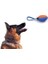 Köpek Diş Kaşıma Oyun Topu 2