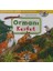 Ilkokul 2. Sınıf Destek Kitabı + Dünyayı Öğreniyorum - Ormanı Keşfet + 6 Kitap Set 2
