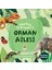 Ilk Boyamalarım Araçlar: (2 Yaş Üstü) + Küçük Dahiler Dikkat Geliştirme 1 (6+ Yaş): Pedagog Onaylı + 6 Kitap Set 3