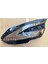 Nissan Qashqai Far Cam Sol 2022-2024 1