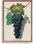 Üzüm Ahşap Çerçeveli Tablo 1