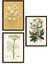 Çiçek Üçlü Ahşap Çerçeveli Tablo 1