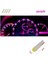 (4xadet) 1 Set 12V LED Mını Dipsiz T5 Purple (Mini Dipsiz Ampul Mor) 1