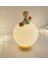 Küçük Prens'in Gezegen Lambası | Kişiselleştirilebilir LED Gece Lambası (23 Cm) | 3D Baskı 1