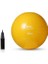 55 cm Anti-Burst Gymball (Pompa Dahil) Unisex Pilates Topu Sarı 3