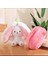Oyuncak Peluş Tavşan Çilek Havuç Sevgiliye Özel Hediye Fermuarlı 38 Cm. 2