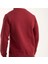Bisiklet Yaka Bordo Regular Fit Uzun Kol 4