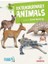 Extraordinary Animals - Intermediate - Level 3 B1 1