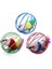 Kafeslı Farelı Kedı Köpek Oyun Topu 4