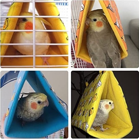 Die Grup Spider Köpek Mont Köpek Kıyafeti Köpek Yağmurluğu(Kücük- Büyük Irklar) 6xl görsel 2