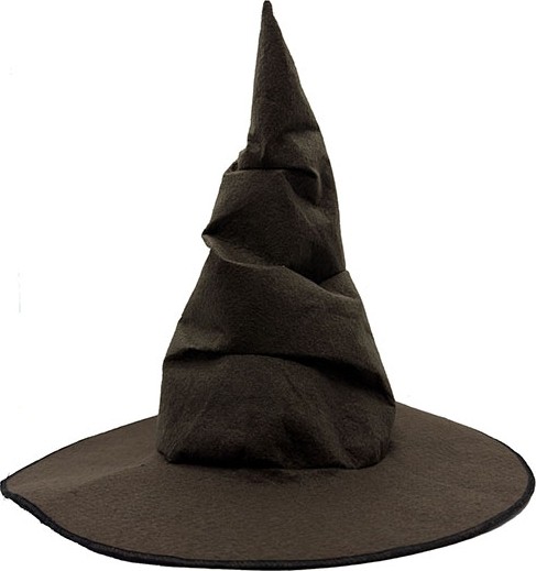 TeknoKapsül Harry Potter Seçmen Şapkası Çocuk Boy