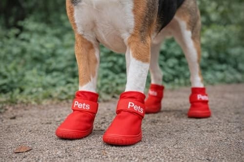 Aesco Köpek Ayakkabısı 4’lü Set Su Geçirmez Kaymaz Tabanlı Köpek Botu Küçük Orta Irk Köpekler Için Koruyucu Patik Yağmur Kar Çamur Için Dayanıklı Evcil Hayvan Ayakkabısı Kırmızı (Medium) görsel 3