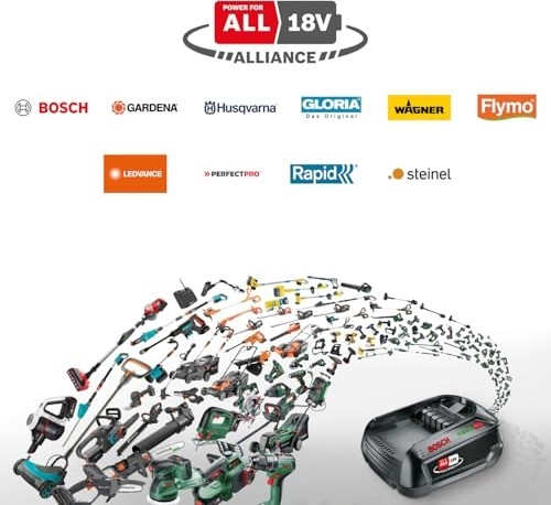 Die Grup Bosch Home & Garden Başlangıç Seti 18V (1x2.5 Ah + Al 18V-44) görsel 2