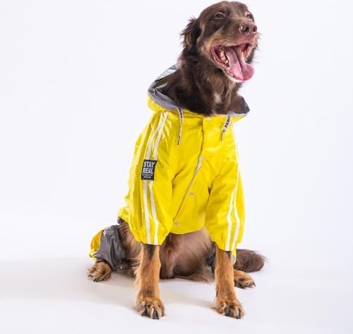 Odea Bicolor Sarı-Gri Polarlı Su Geçirmez Orta-Büyük Irk Köpek Yağmurluk Tulum (6xl) görsel 2