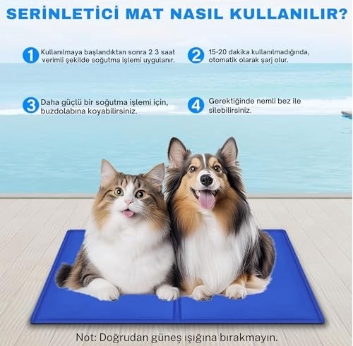 Die Grup Kahu Naturals Somon Yağlı Malt, Omega-3 (Epa & Dha) Içerikli, Kedi ve Köpek Için, 100 G görsel 3