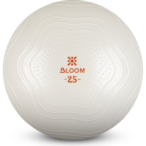 Bloom LB7001 25 Cm Mini Pilates Topu + Pompası