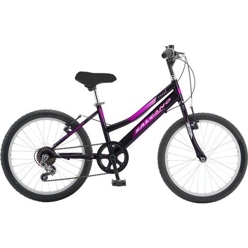 Salcano Excel 20 Jant Kız Çocuk Bisikleti (120 145 Cm Arası Boy)