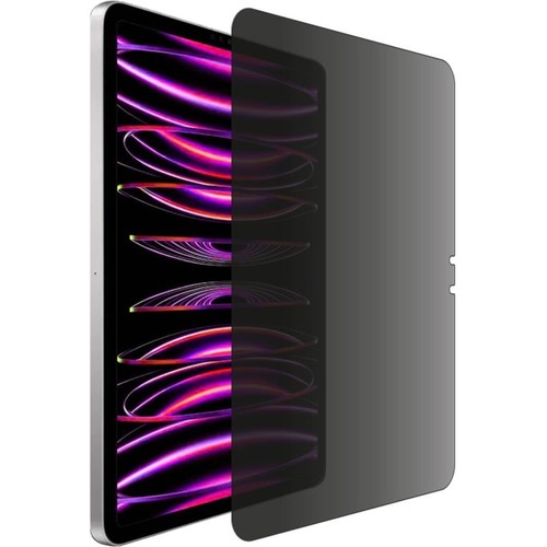 Apple iPad Pro (M4) 13" (2024) Için Ipg Privacy Hayalet Ekran Koruma Yan Görünmeyi Engelleyici