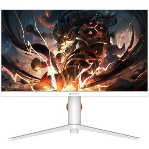 Gamebooster 27" Ss IPS 0.5ms 165HZ Hdmı-Dp Pıvot Gamıng Monitör