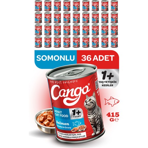Cango Somonlu Yetişkin Yaş Kedi Maması 415 GR x 36