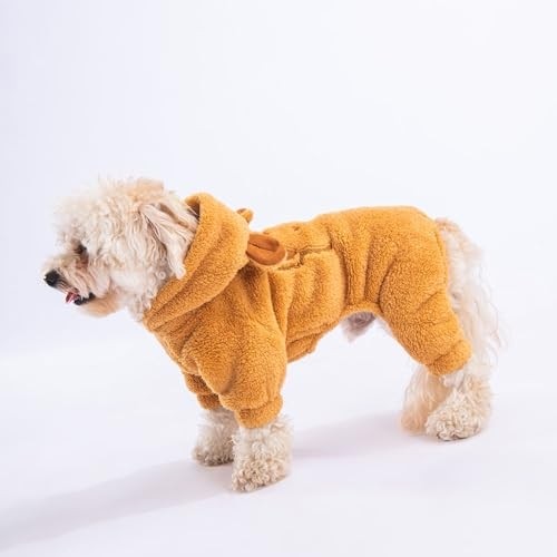 Latte Koala Peluş Küçük Irk Köpek Tulumu (L)