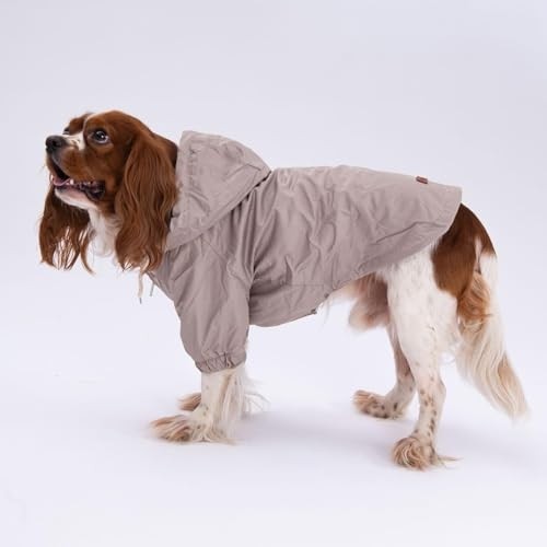 Die Grup Vizon Mont Köpek Mont Köpek Kıyafeti Köpek Yağmurluğu 3xl