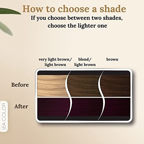 Aesco Sea Color Home Colorist Set Saç Boyası 3.66 Kızıl Mor Red Purple görsel 3