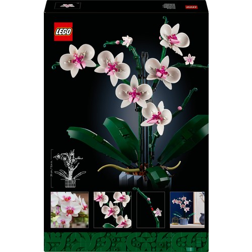LEGO® Botanicals Orkide 10311 – Yetişkinler için 5 Yaprak ve 2 Kök İçeren Dekoratif Yapay Bitki Modeli Yapım Seti (608 Parça)