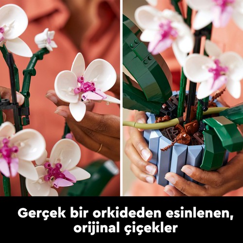 LEGO® Botanicals Orkide 10311 – Yetişkinler için 5 Yaprak ve 2 Kök İçeren Dekoratif Yapay Bitki Modeli Yapım Seti (608 Parça)