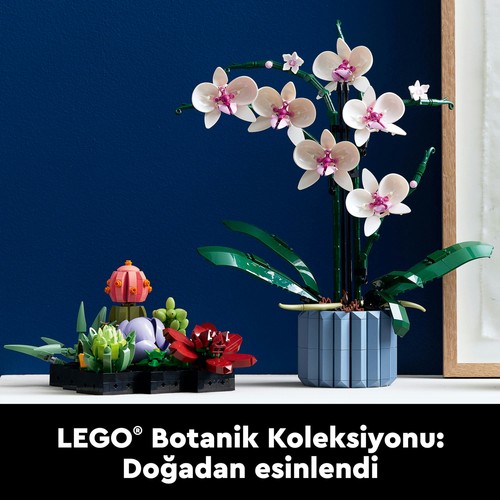 LEGO® Botanicals Orkide 10311 – Yetişkinler için 5 Yaprak ve 2 Kök İçeren Dekoratif Yapay Bitki Modeli Yapım Seti (608 Parça)