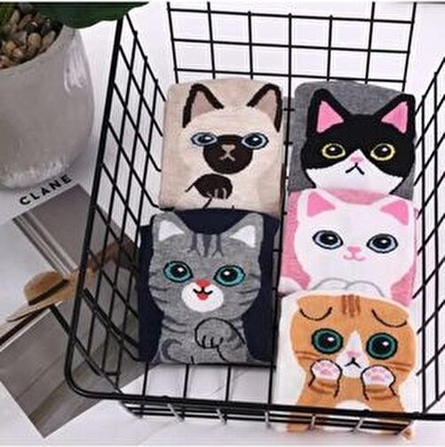 Çorap Kurdu 5'li Sevimli Kedi Desenli Patik Çorap görsel 5