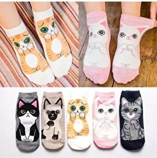 Çorap Kurdu 5'li Sevimli Kedi Desenli Patik Çorap