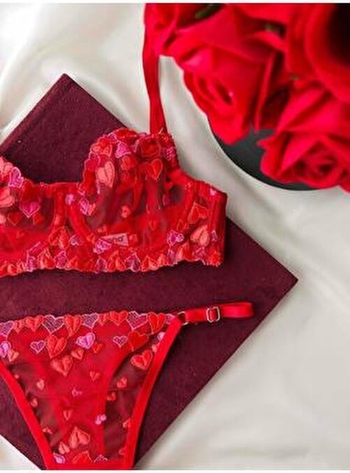Thrill Bra Begjaer Kalpli Dantel Balenli Sütyen Bralet Külot Takım 2 Parça Kadın İç Giyim görsel 6
