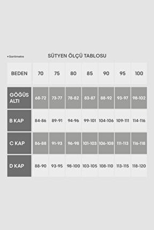 Pierre Cardin Kadın Toparlayıcı Sütyen Yüksek Destek ve %100 PES Kumaşla 7021 Diandra görsel 5