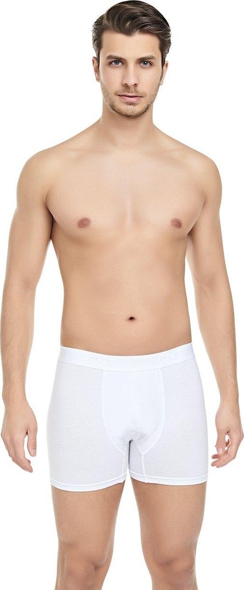 Cnt Erkek Desenli Boxer Likralı 6'lı Premium Paket L Beden Beyaz Renkli Rahat Kullanım görsel 2
